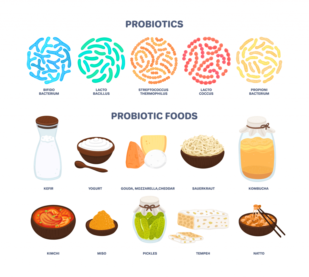 Example of probiotic foods and exploring when the best time of day is to take probiotics.