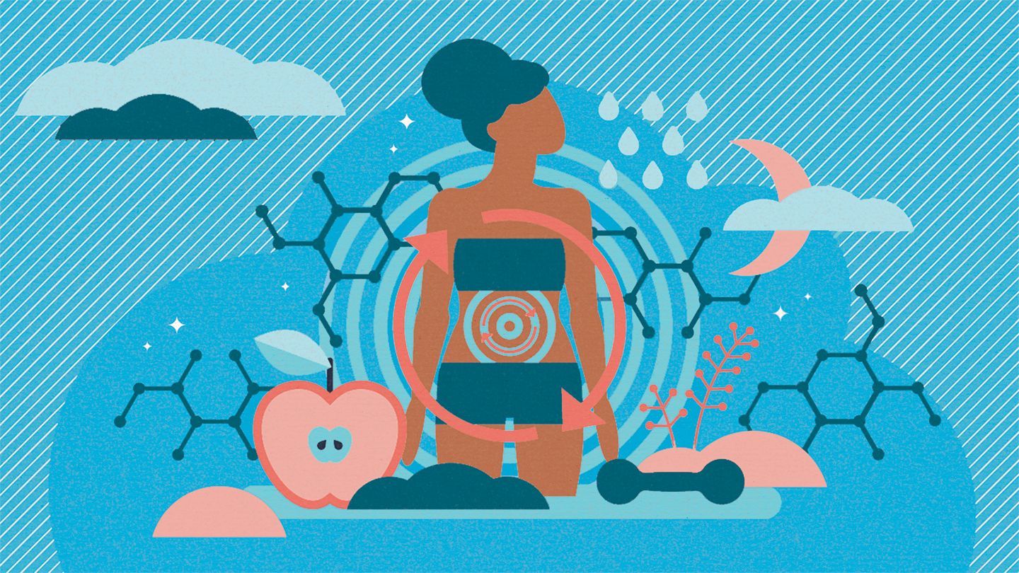 Mind body health connection illustrated with the help of a personalized nutritionists.